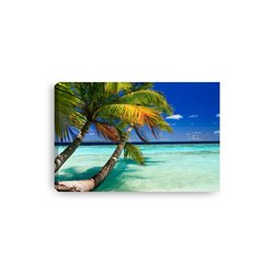 Obraz na płótnie canvas poziomy palmy morze błękitne niebo plaża pixitex