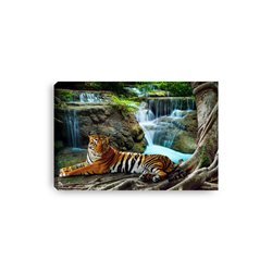 Obraz na płótnie canvas poziomy tygrys wodospad dżungla pixitex