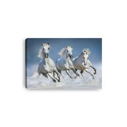Obraz na płótnie canvas poziomy konie galop niebo zwierzęta pixitex