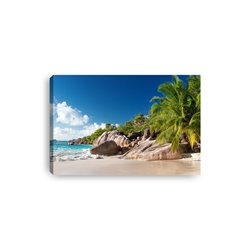 Obraz na płótnie canvas plaża morze palmy niebo pixitex