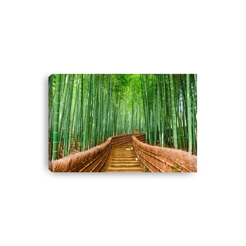 Obraz na płótnie canvas poziomy most las bambusy zieleń brąz pixitex