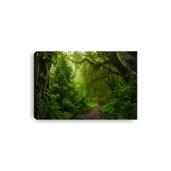 Obraz na płótnie canvas poziomy las ścieżka drzewa zieleń pixitex