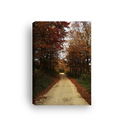 Obraz na płótnie canvas pionowy ścieżka aleja drzew jesień liście pixitex