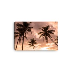 Obraz na płótnie canvas poziomy palmy niebo zachód słońca pixitex