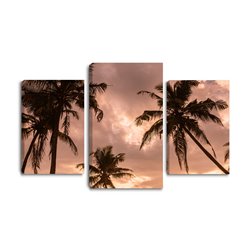 Obraz na płótnie canvas tryptyk potrójny obraz palmy niebo tropiki pixitex