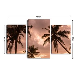 Obraz na płótnie canvas tryptyk potrójny obraz palmy niebo tropiki pixitex