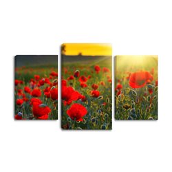 Obraz na płótnie canvas tryptyk potrójny obraz maki łąka zachód słońca kwiaty pixitex
