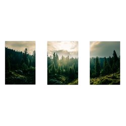 Zestaw 3 plakatów obrazków grafik plakaty las skandynawski nowoczesny góry pejzaż pixitex