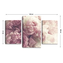Obraz na płótnie canvas tryptyk potrójny obraz nowoczesny piwonie kwiaty różowe kwiatuszki pixitex