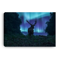 Obraz na płótnie canvas duży 120x80 jeleń las polana zorza polarna pixitex