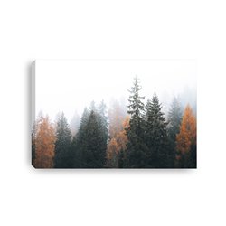 Obraz na płótnie canvas duży 120x80 kolorowe jesienne drzewa we mgle las pixitex