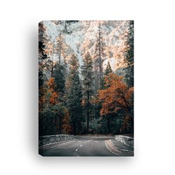 Obraz na płótnie canvas duży 120x80 jesienny las pomarańczowe drzewa droga pixitex