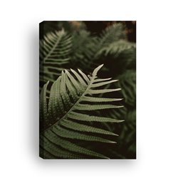 Obraz na płótnie canvas duży 120x80 duże liście paproci leśne rośliny pixitex